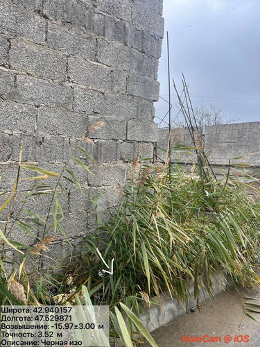 photo 6 2025 12 01 05 15 34.jpg