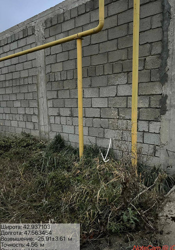 photo 5 2025 12 01 05 15 34.jpg