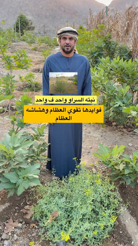 Af3pJibLIQM4XzwS.jpg