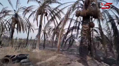 NQJVScc6uv MUPGr.jpg