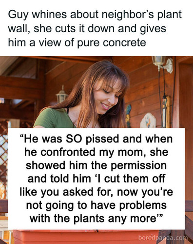 neighbour complaining climbing plants sharing.jpg