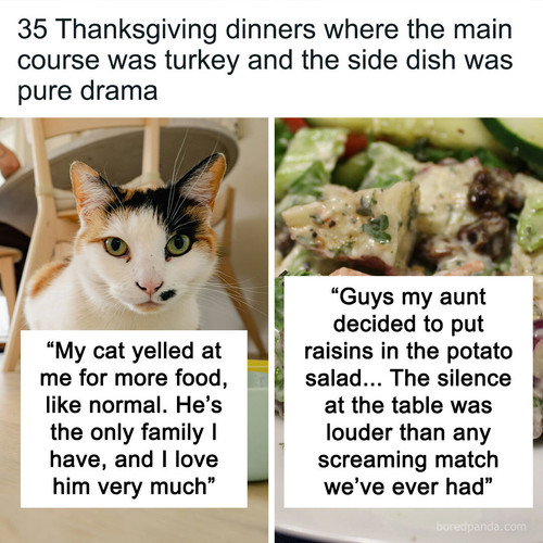 thanksgiving family arguments sharing.jpg