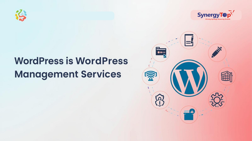 wordpress management services (3).png