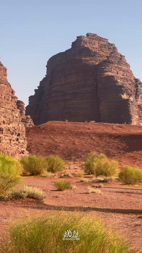 dzulaDtmOEvD2d y.jpg