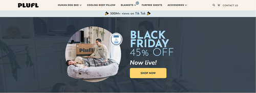 screenshot 1764661527.png