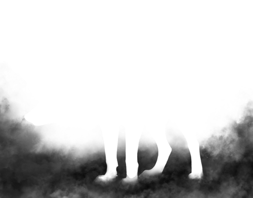 Smoke CD Sentinel 640x500.png