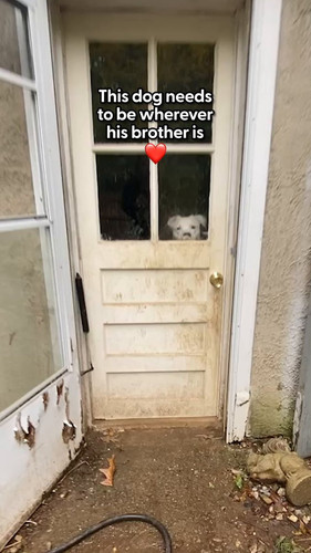 boDGXai5CVxsNLSF.jpg