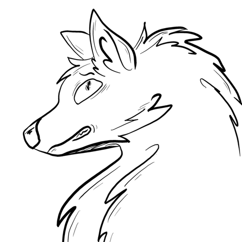 IMG 7448.png