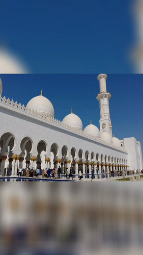 SfrA mxBVZdEwfxP.jpg