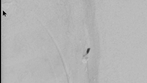 LnEesEO3b7SS3 6l.jpg