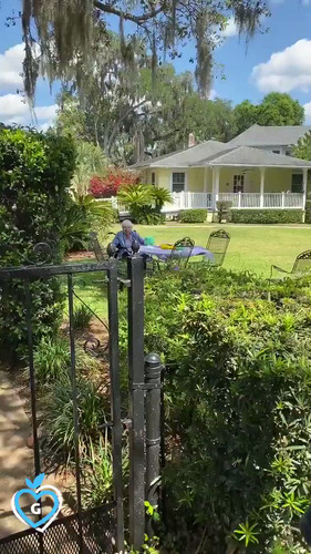 qdSR3hFnOJWltmo .jpg