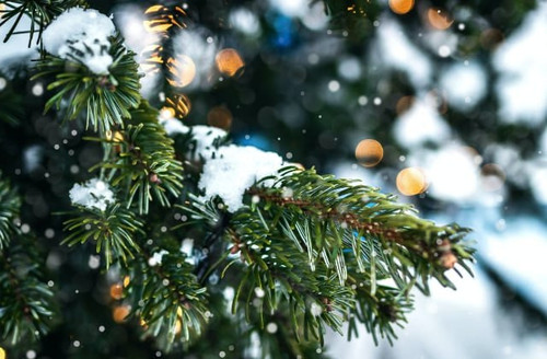 gM3TdnXdlDy8otYX EY HEriU3Ow txiqPWdq74v MdIk1HWK5Gw1A1DOy2tX6W65 fX6eekqcuAu lGnj2gmq9y1d3NrHgDuQvP.jpg