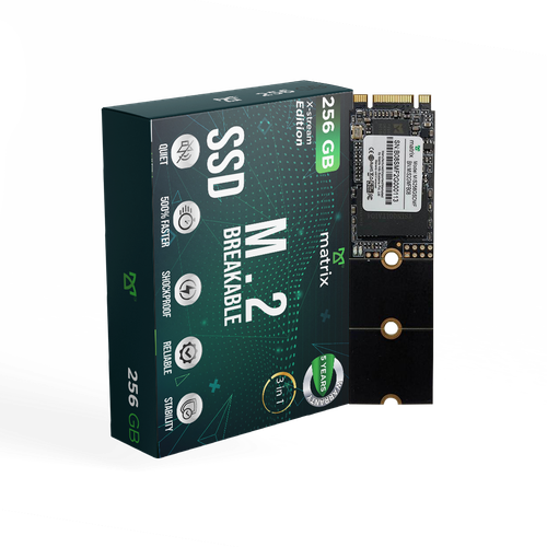 M.2 BREAKABLE SSD 256GB.png