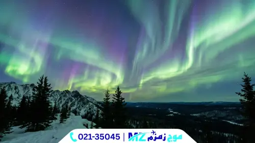 mz724.ir (6).webp