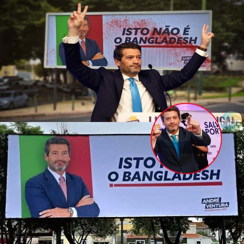 a0c3b7c00911.jpg