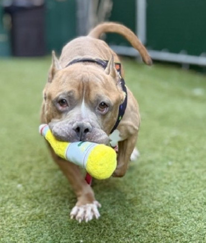 G6rwiFdW0AAhL B?format=jpg.jpg