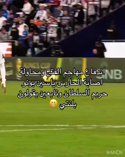 wpNKr2Jf1ArbEi C.jpg