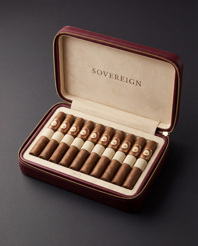 generated image 1764595427936.jpg