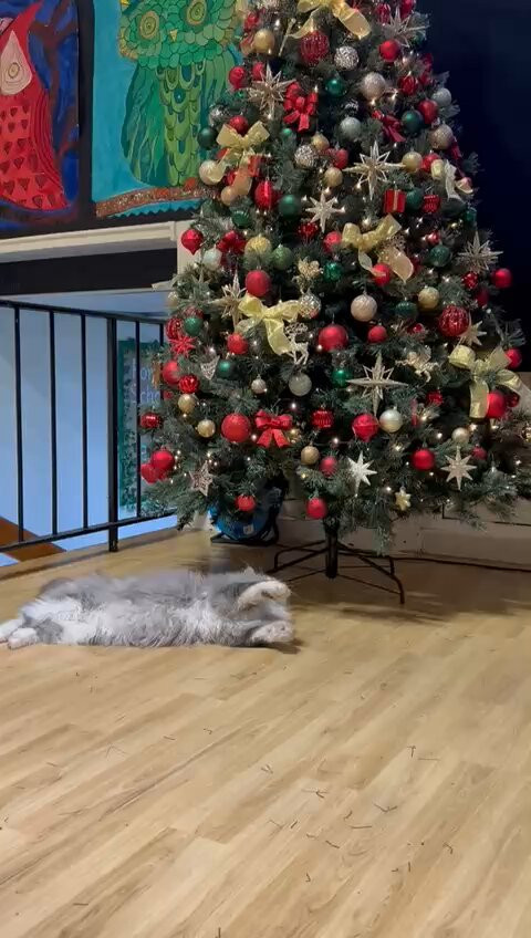 UGBs8oxQk aoZtVu.jpg