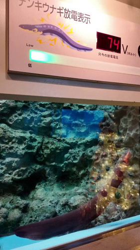 ArX5X BrDCvl hYk.jpg