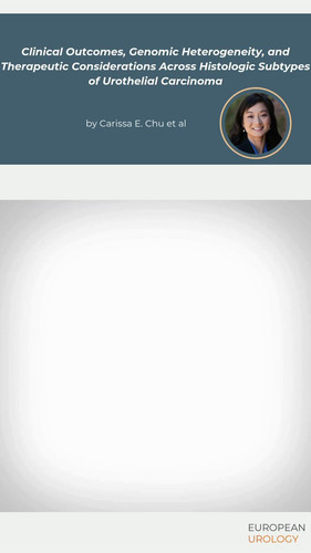 4JZ09atpIDn6A3i .jpg