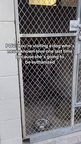 APwCfh xrTKbknim.jpg