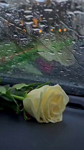 XDHkwprB5LXy qT .jpg