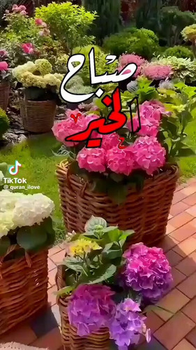 TSubRj8iVKSV4WMK.jpg