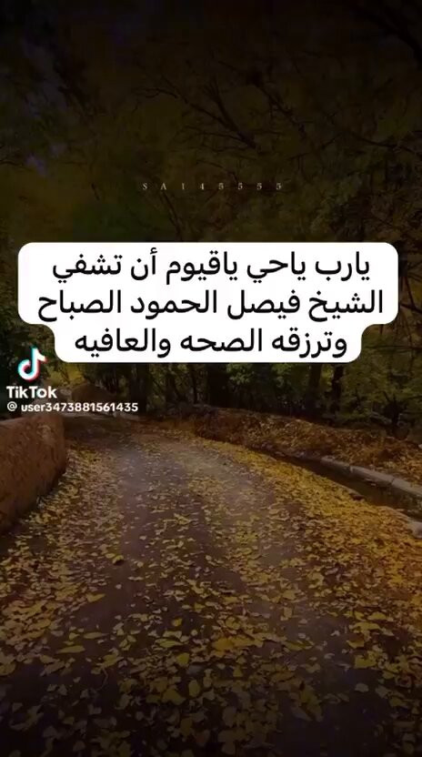 gO3ewQGN7ghy8pLL.jpg