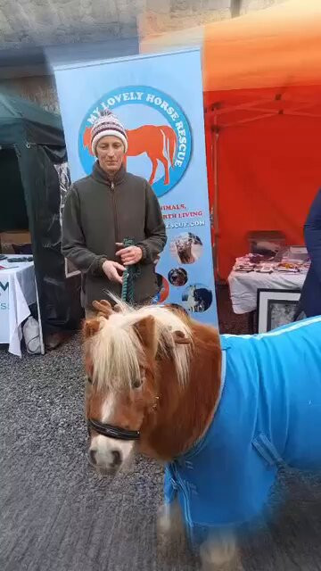 DA7SQbSDTL 7 kyy.jpg