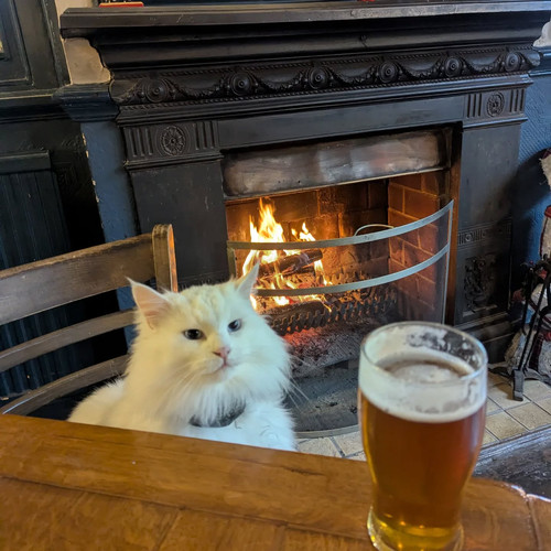 587887033 18537664831047367 4255556236528884396 n.jpg