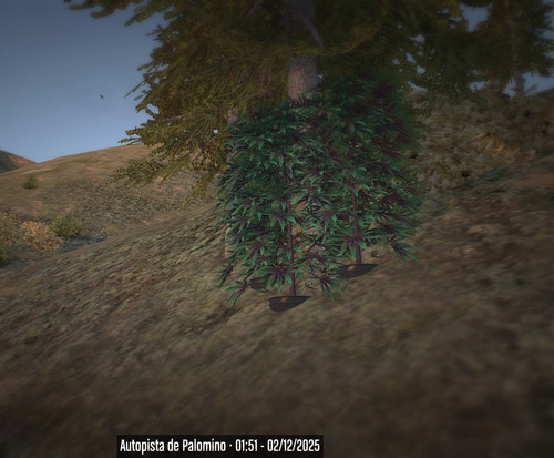 FiveM b3570 GTAProcess 2uOyhE5TOz.jpg