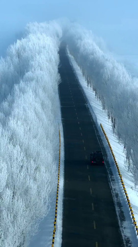 fKP49UHdIhnl 15K.jpg