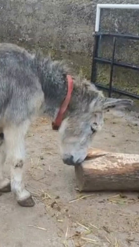 3A wjwGlW04JnjDa.jpg