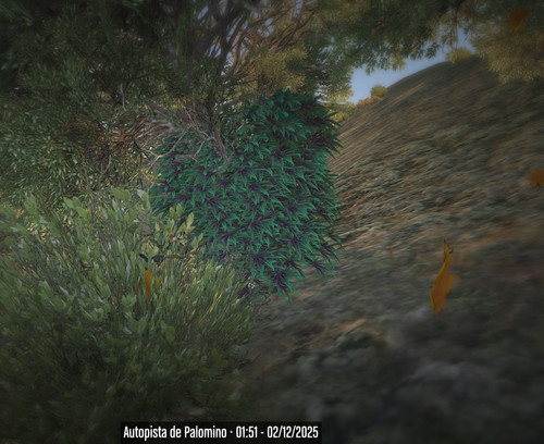 FiveM b3570 GTAProcess TlG50PDfmp.jpg