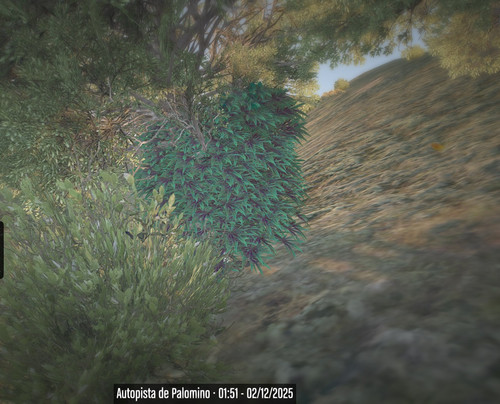 FiveM b3570 GTAProcess IYEiiR0S1r.jpg