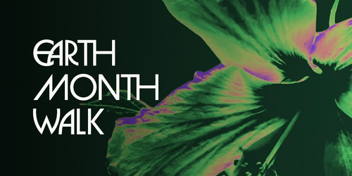 NeillEdu FY26SpringSummer Tiles EarthMonth.png