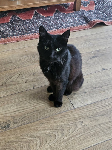 G7FdpfGXMAAVaZG.jpg