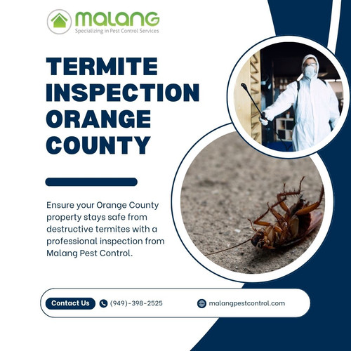 Termite Inspection Orange County – Protect Your Home from Silent Damage.jpg