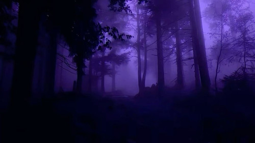 IMG 0900.jpg