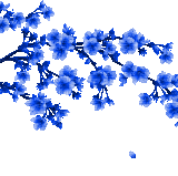 1248811 71b3b.gif
