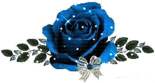 1866936 74adf.gif