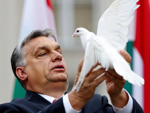 G7Df3vjWUAAOIjH.jpg