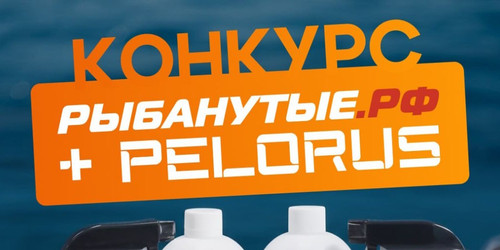 promo.jpg