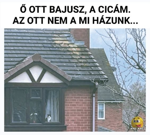 G7FWkBQXUAEuPso.png