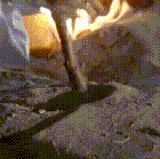 1000029217.gif