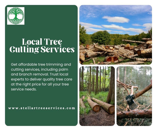 stellartreeservices.jpg
