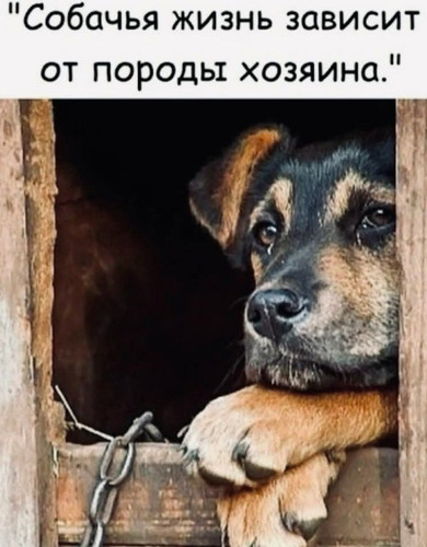 G695A4YX0AEyYiD.jpg