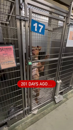 GHn8UO 0U9y0dfdv.jpg