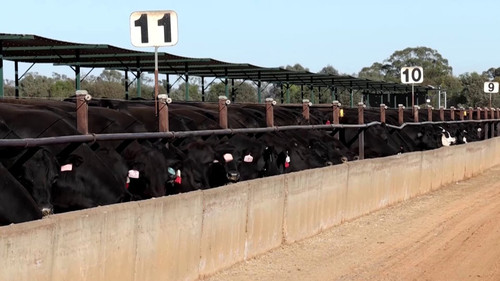 y aUgLM1lDam6nQ6.jpg